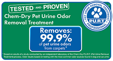 Metro Chem-Dry removes 99% of pet urine odors in carpets